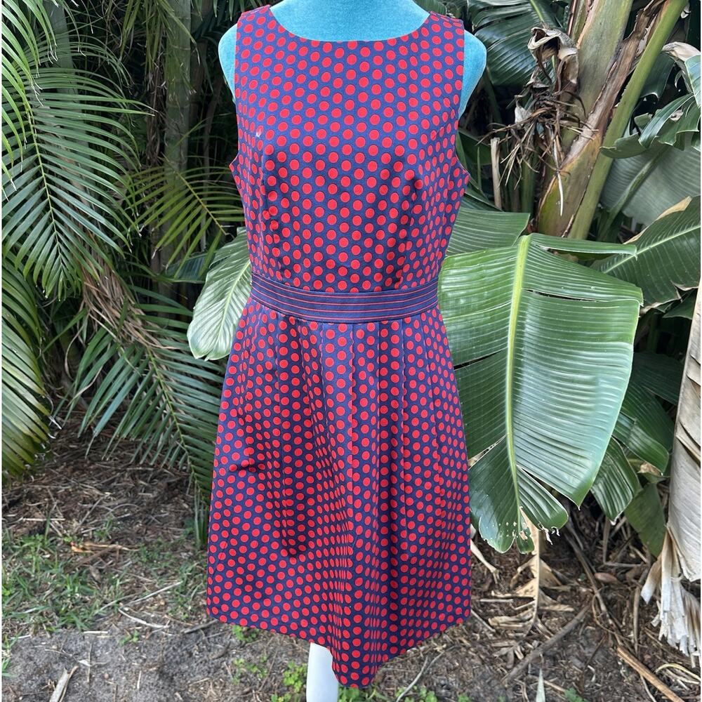 The Limited NWOT Cotton knee lgth Dress Women 8 Navy dot spandex lined Perfect